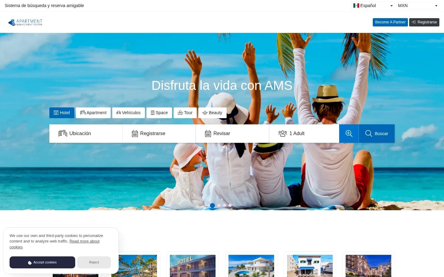 Captura de AMS Booking