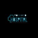 Hospital Management System logo